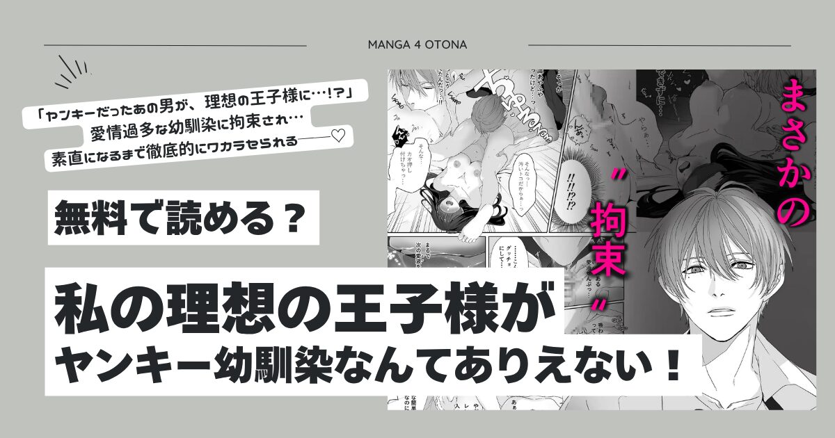 私の理想の王子様がヤンキー幼馴染なんてありえない！hitomi,raw,pdf安全にdlする方法は？